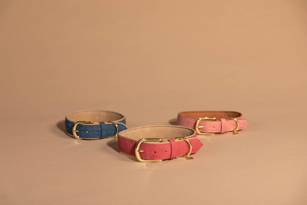 Kentucky Hondenhalsband Zacht Vegan Leder Dogwear - Maddelin Equestrian Kentucky