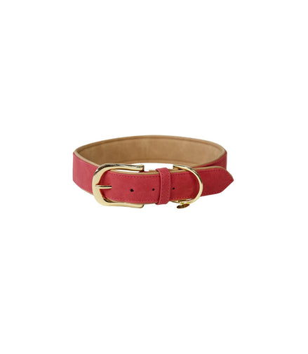 Kentucky Hondenhalsband Zacht Vegan Leder Dogwear - Maddelin Equestrian Kentucky