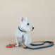 Kentucky Hondenhalsband Zacht Vegan Leder Dogwear - Maddelin Equestrian Kentucky