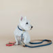 Kentucky Hondenhalsband Zacht Vegan Leder Dogwear - Maddelin Equestrian Kentucky