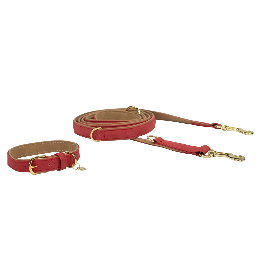 Kentucky Hondenhalsband Zacht Vegan Leder Dogwear - Maddelin Equestrian Kentucky