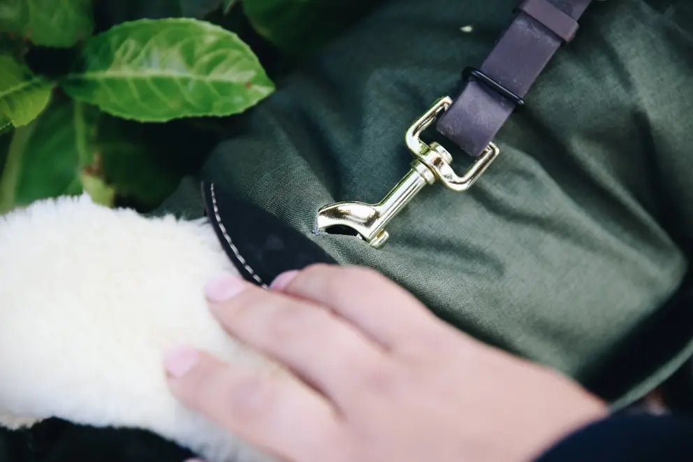 Kentucky Hondenjas Waterdicht 300gr Dogwear - Maddelin Equestrian Kentucky