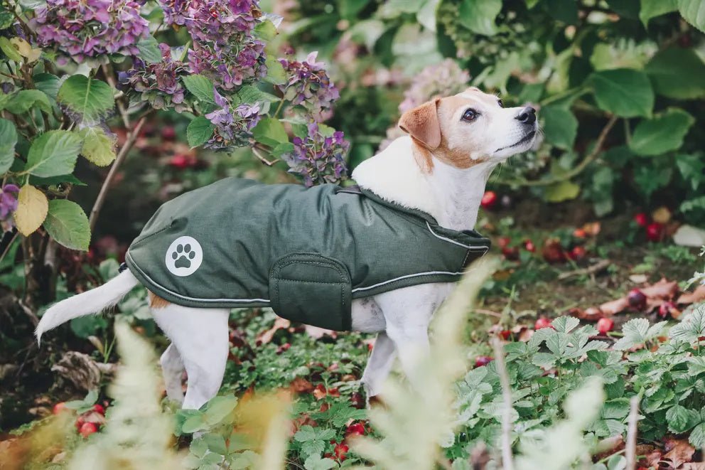 Kentucky Hondenjas Waterdicht 300gr Dogwear - Maddelin Equestrian Kentucky