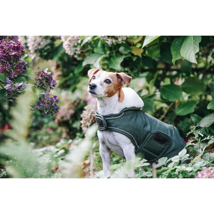 Kentucky Hondenjas Waterdicht 300gr Dogwear - Maddelin Equestrian Kentucky