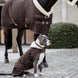 Kentucky Hondenjasje Original Dogwear - Maddelin Equestrian Kentucky