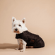 Kentucky Hondenjasje Original Dogwear - Maddelin Equestrian Kentucky