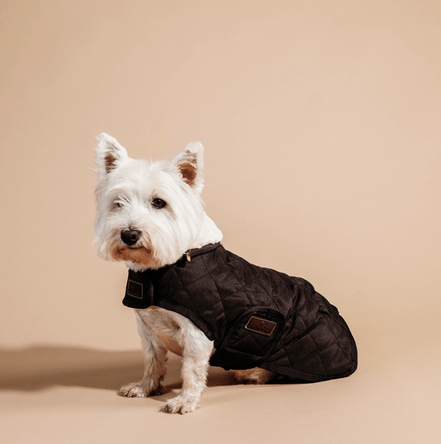 Kentucky Hondenjasje Original Dogwear - Maddelin Equestrian Kentucky