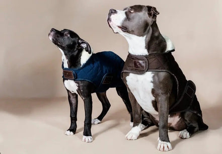 Kentucky Hondenjasje Original Dogwear - Maddelin Equestrian Kentucky