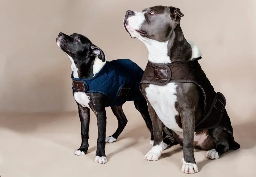 Kentucky Hondenjasje Original Dogwear - Maddelin Equestrian Kentucky