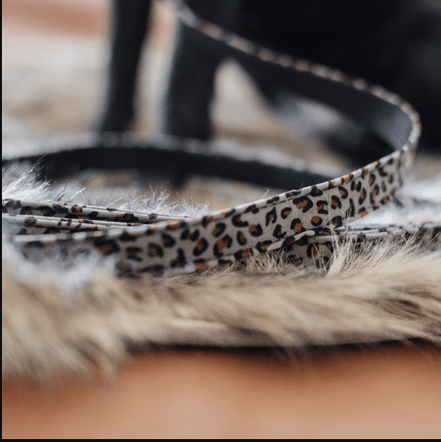 Kentucky Hondenlijn Leopard Dogwear - Maddelin Equestrian Kentucky