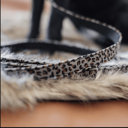 Kentucky Hondenlijn Leopard Dogwear - Maddelin Equestrian Kentucky