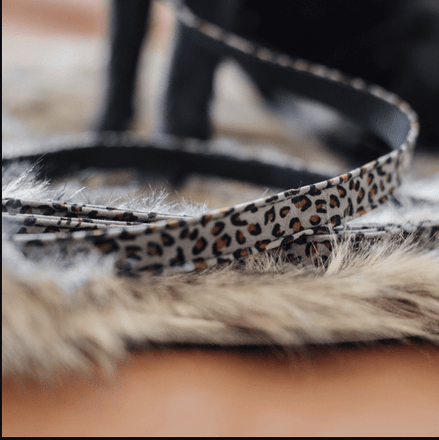 Kentucky Hondenlijn Leopard Dogwear - Maddelin Equestrian Kentucky