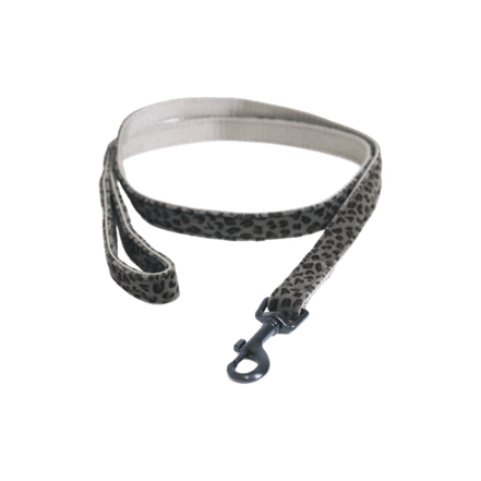 Kentucky Hondenlijn Leopard Dogwear - Maddelin Equestrian Kentucky