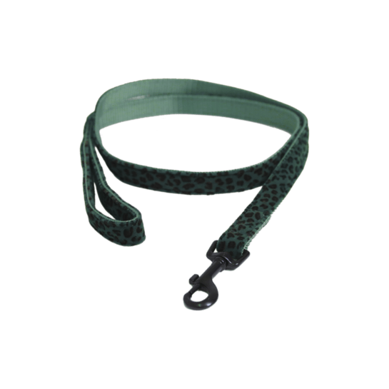 Kentucky Hondenlijn Leopard Dogwear - Maddelin Equestrian Kentucky