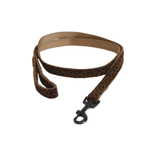 Kentucky Hondenlijn Leopard Dogwear - Maddelin Equestrian Kentucky