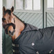 Kentucky Horse BIB Summer Toebehoren - Maddelin Equestrian Kentucky