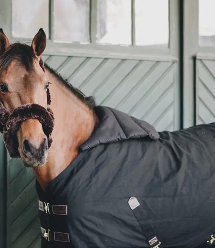 Kentucky Horse BIB Summer Toebehoren - Maddelin Equestrian Kentucky