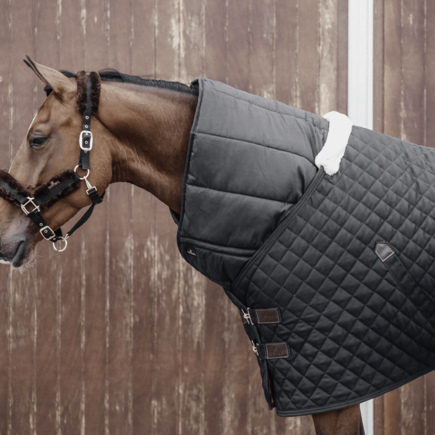 Kentucky Horse Duvet Staldeken - Maddelin Equestrian Kentucky