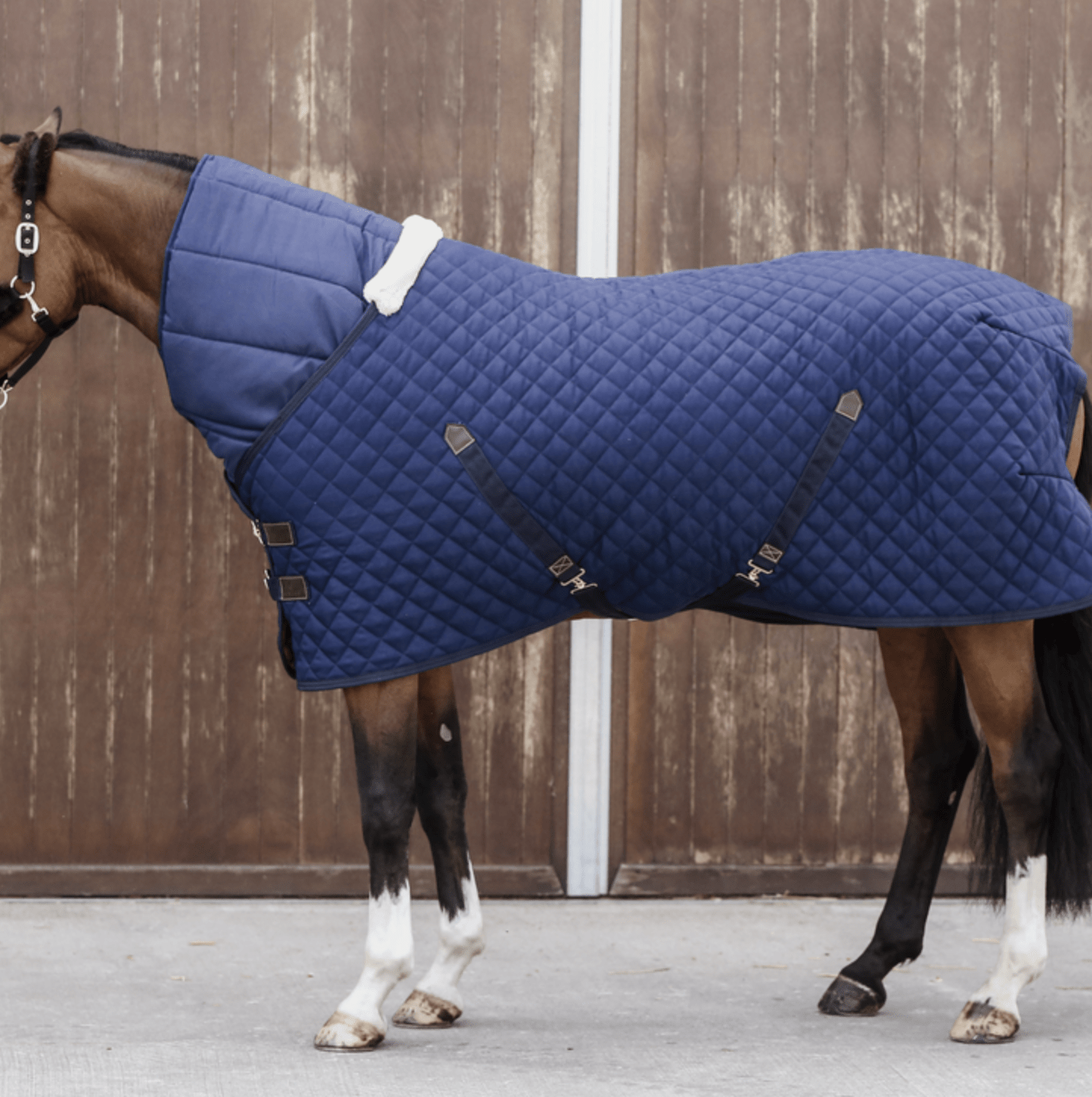 Kentucky Horse Duvet Staldeken - Maddelin Equestrian Kentucky