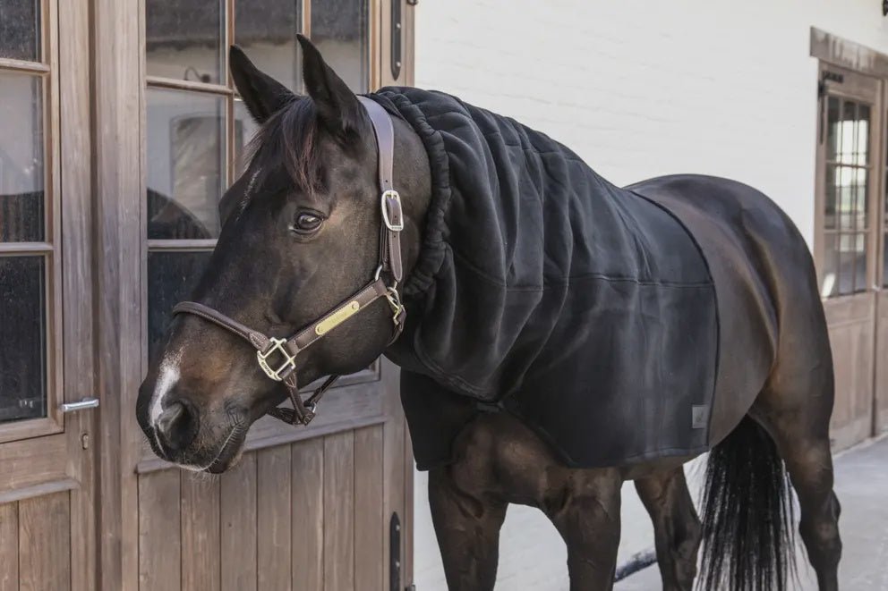 Kentucky Horse Scarf Waterdicht Classic Toebehoren - Maddelin Equestrian Kentucky