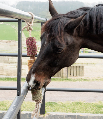 Kentucky Houten relax Paardenspeelgoed De - stress Speelgoed voor paarden - Maddelin Equestrian Kentucky