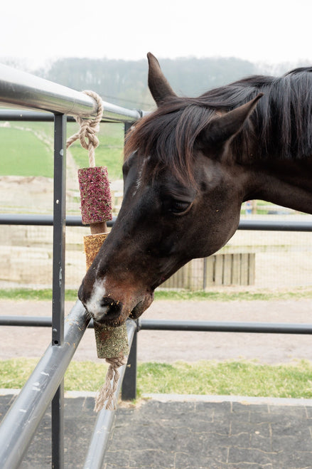 Kentucky Houten relax Paardenspeelgoed De - stress Speelgoed voor paarden - Maddelin Equestrian Kentucky
