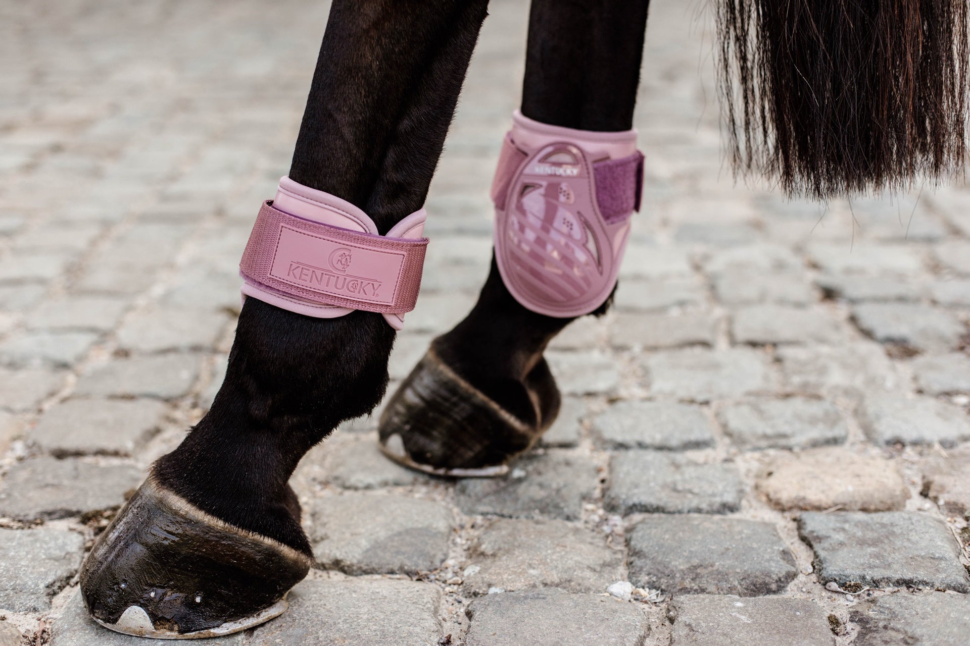 Kentucky Kogelbeschermers Kogelbeschermers - Maddelin Equestrian Kentucky