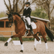 Kentucky Korte singel Wol/Bont Singels - Maddelin Equestrian Kentucky