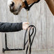 Kentucky Leather Chain Lead 270cm Touwen - Maddelin Equestrian Kentucky