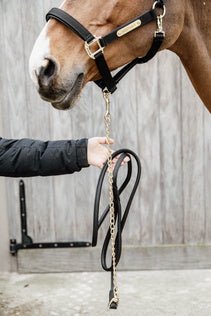Kentucky Leather Chain Lead 270cm Touwen - Maddelin Equestrian Kentucky