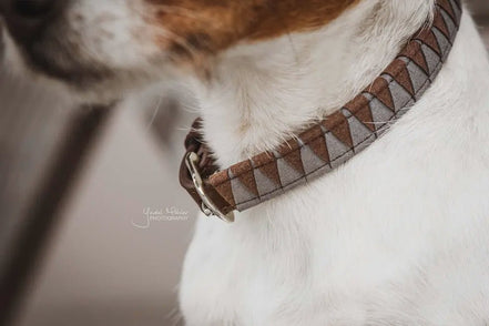 Kentucky Leiband Hond triangle Dogwear - Maddelin Equestrian Kentucky