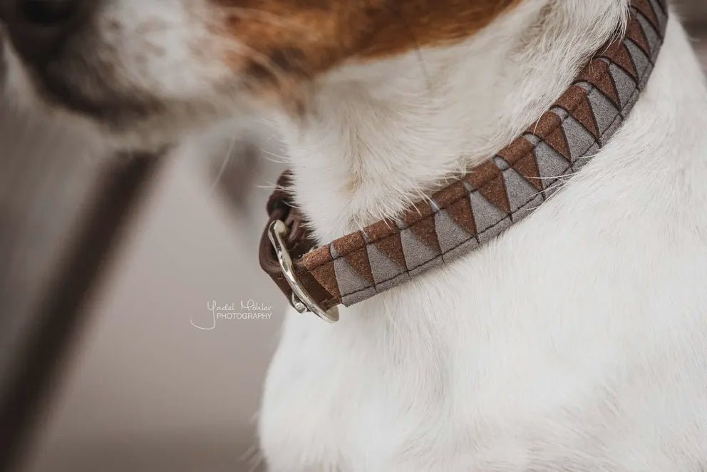 Kentucky Leiband Hond triangle Dogwear - Maddelin Equestrian Kentucky