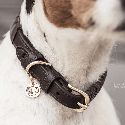 Kentucky Leiband Hond triangle Dogwear - Maddelin Equestrian Kentucky