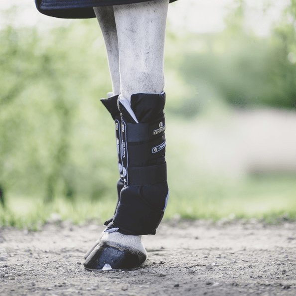 Kentucky MAGNETIC STABLE BOOTS RECUPTEX Zwart Full Transport, therapeutisch en stalbeschermers - Maddelin Equestrian Kentucky