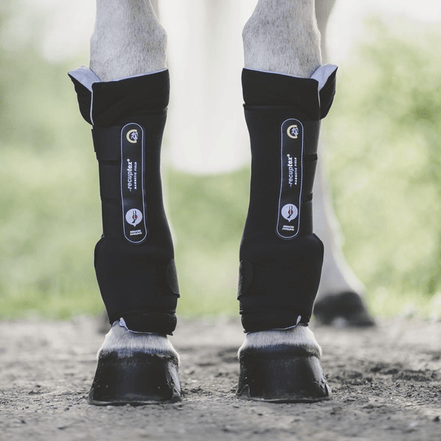 Kentucky MAGNETIC STABLE BOOTS RECUPTEX Zwart Full Transport, therapeutisch en stalbeschermers - Maddelin Equestrian Kentucky