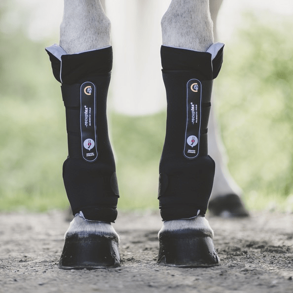 Kentucky MAGNETIC STABLE BOOTS RECUPTEX Zwart Full Transport, therapeutisch en stalbeschermers - Maddelin Equestrian Kentucky