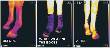 Kentucky MAGNETIC STABLE BOOTS RECUPTEX Zwart Full Transport, therapeutisch en stalbeschermers - Maddelin Equestrian Kentucky