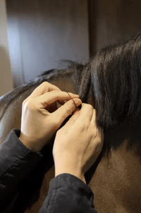 Kentucky Manenelastiekjes Borstels & toebehoren - Maddelin Equestrian Kentucky