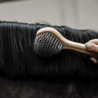 Kentucky Manenkam Grooming Deluxe Borstels & toebehoren - Maddelin Equestrian Kentucky