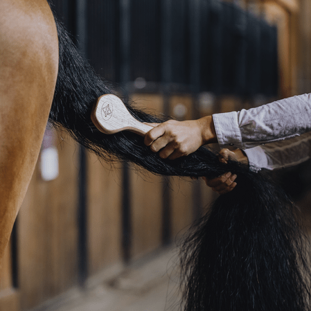 Kentucky Manenkam Grooming Deluxe Borstels & toebehoren - Maddelin Equestrian Kentucky