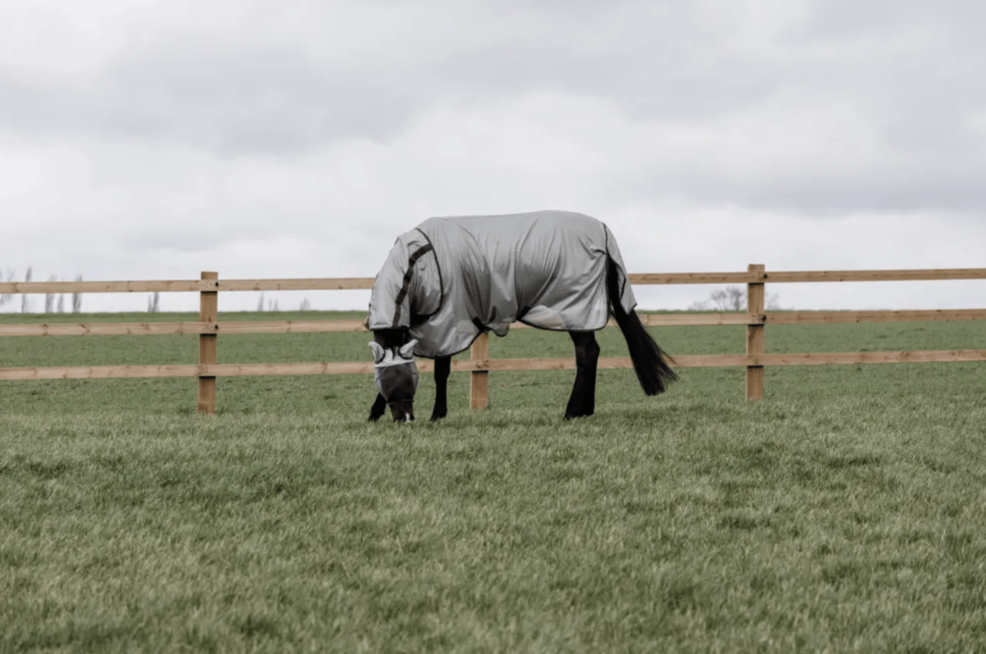 Kentucky Mesh Vliegendeken Classic Silver Vliegendekens - Maddelin Equestrian Kentucky