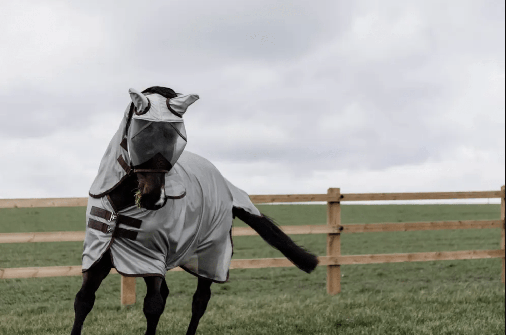 Kentucky Mesh Vliegendeken Classic Silver Vliegendekens - Maddelin Equestrian Kentucky