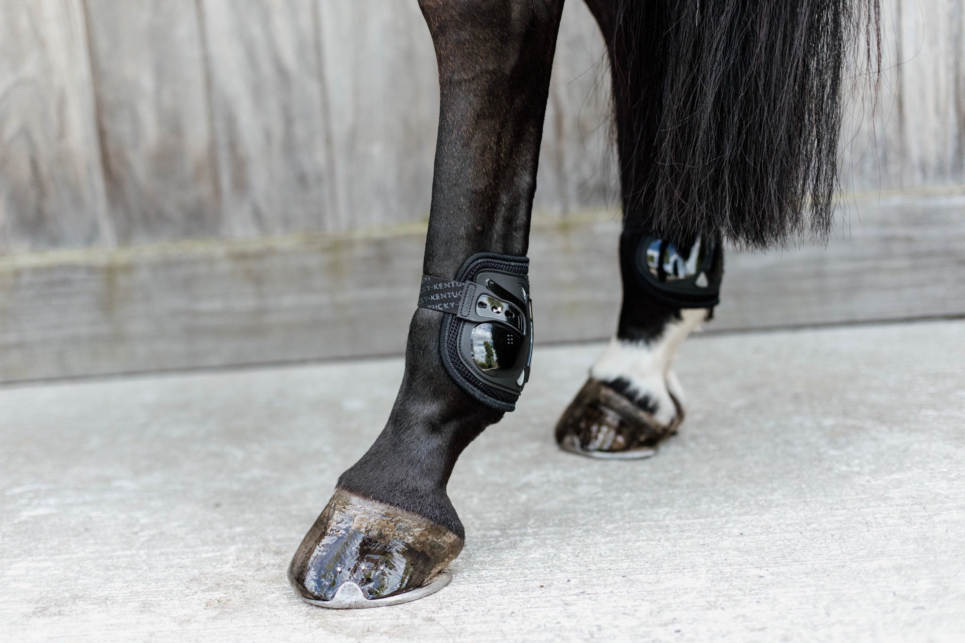 Kentucky Moonboots Air Kogelbeschermers - Maddelin Equestrian Kentucky