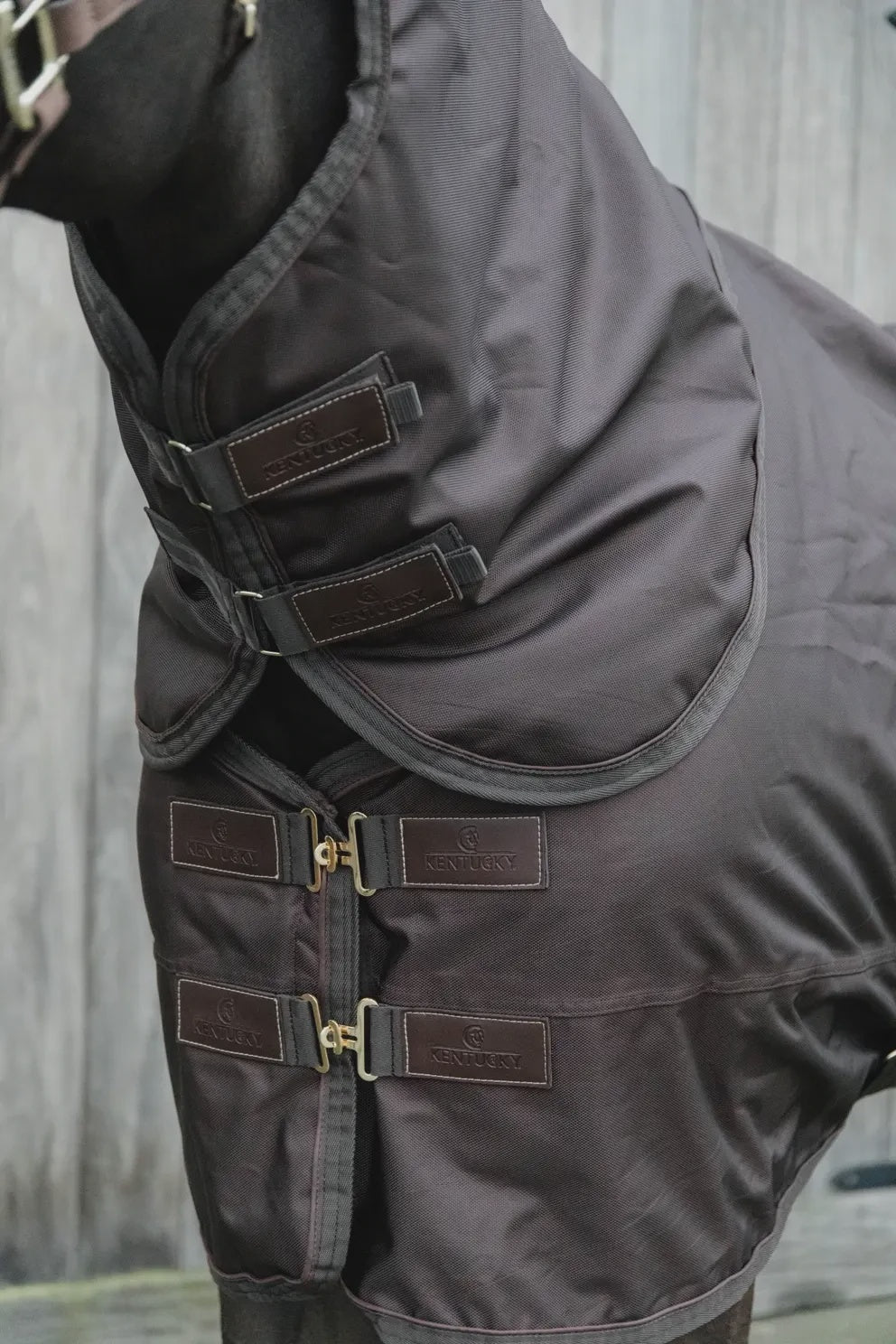Kentucky Neck All weather Pro Outdoordeken - Maddelin Equestrian Kentucky