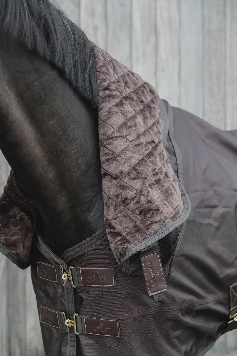 Kentucky Neck All weather Pro Outdoordeken - Maddelin Equestrian Kentucky
