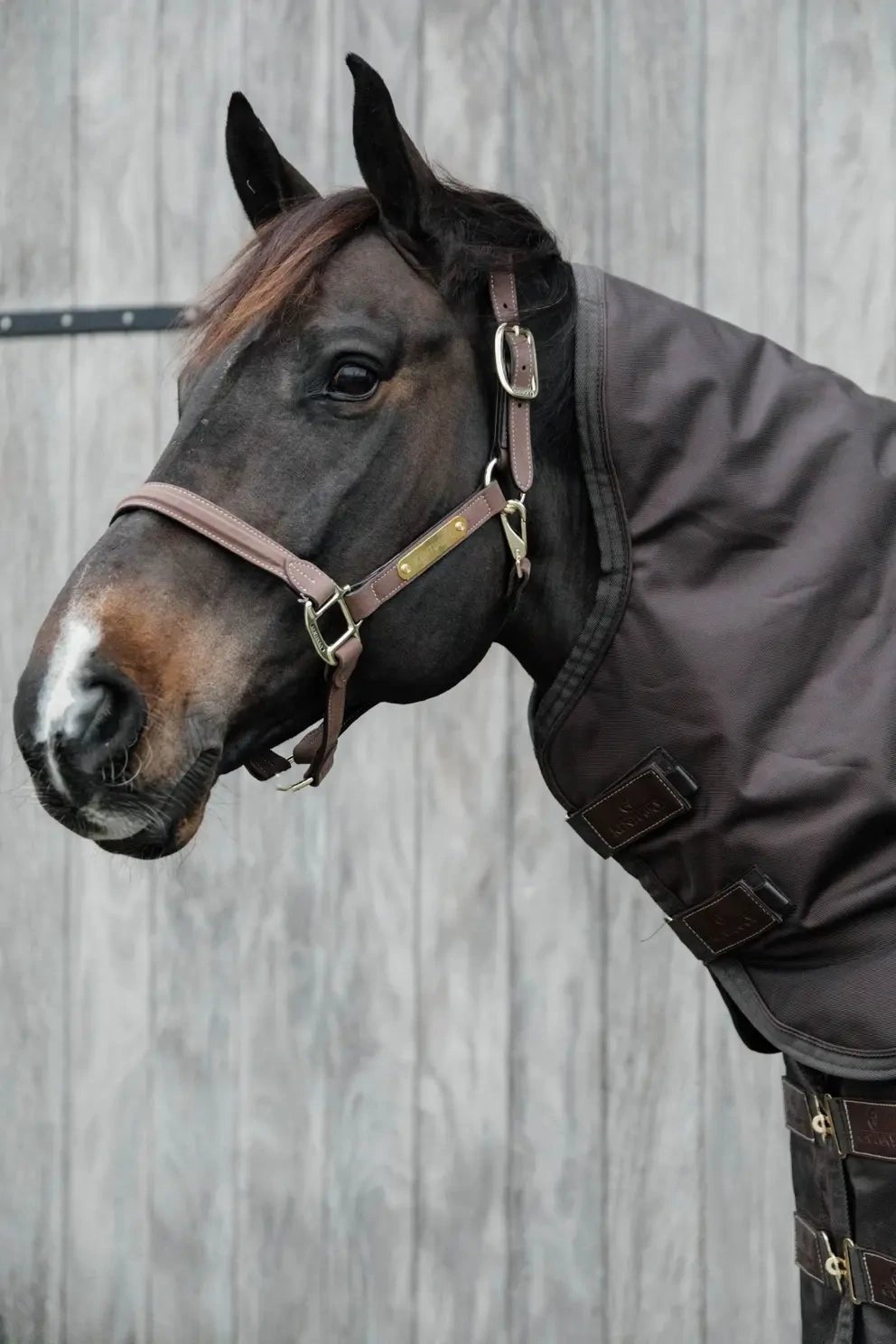 Kentucky Neck All weather Pro Outdoordeken - Maddelin Equestrian Kentucky