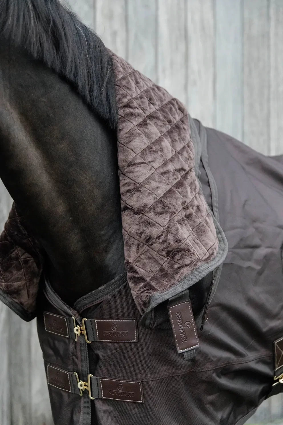 Kentucky Neck All weather Pro Outdoordeken - Maddelin Equestrian Kentucky