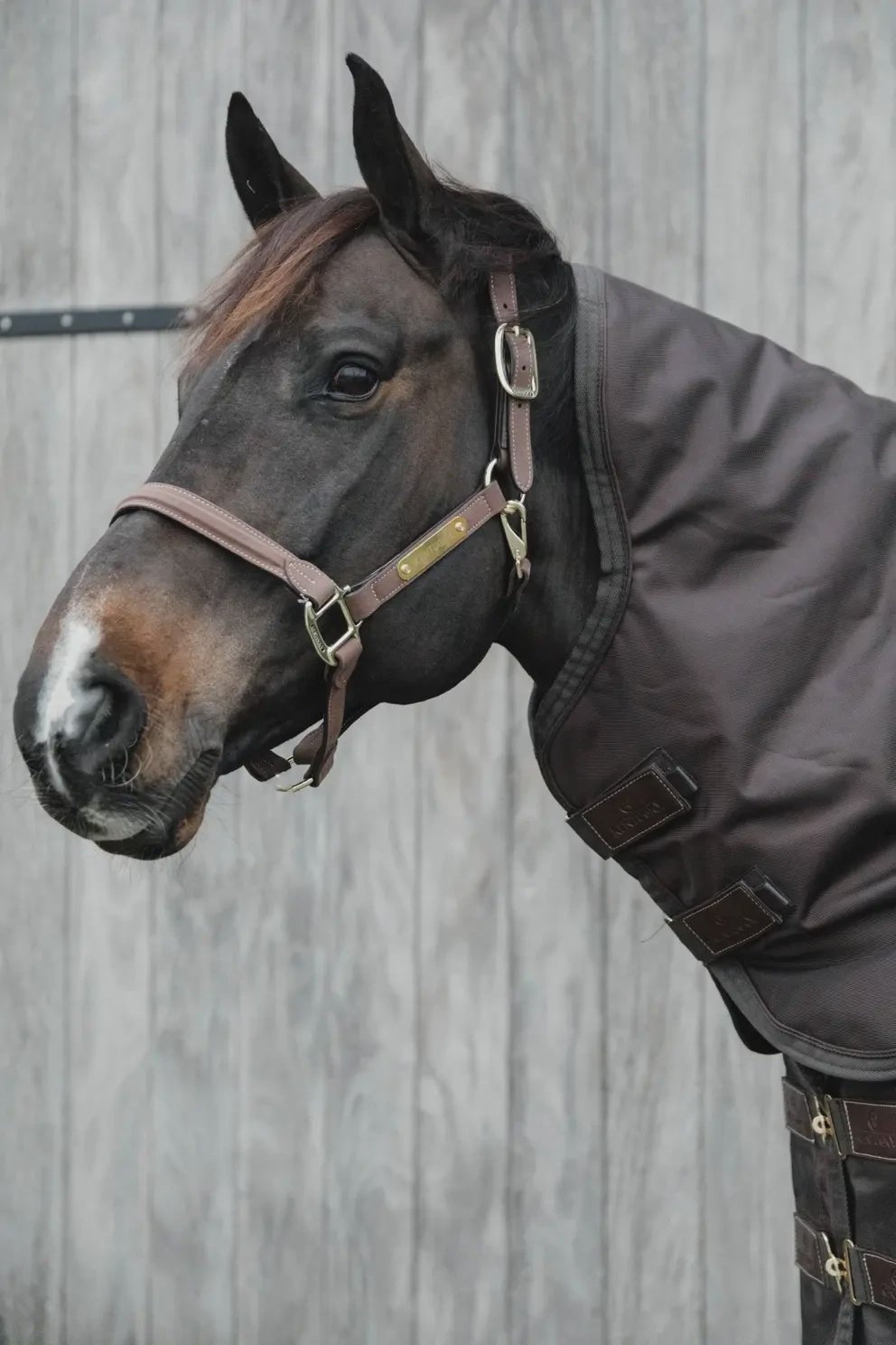 Kentucky Neck All weather Pro Outdoordeken - Maddelin Equestrian Kentucky