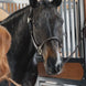 Kentucky Nekstuk Anatomic Leather Halster Brown Halster accesoires - Maddelin Equestrian Kentucky