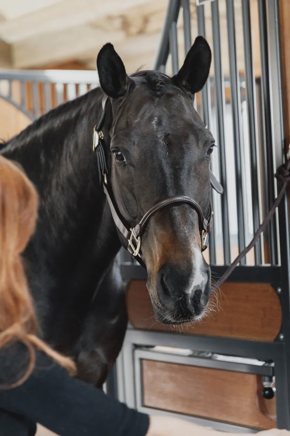 Kentucky Nekstuk Anatomic Leather Halster Brown Halster accesoires - Maddelin Equestrian Kentucky